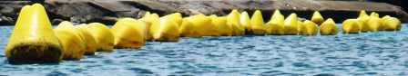 Yellow buoys everywhere