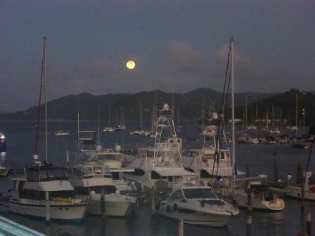 The marina lit by the moon