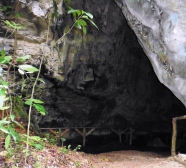 Los Haitises Caves 1.1
