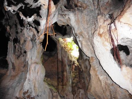 Los Haitises Caves 5