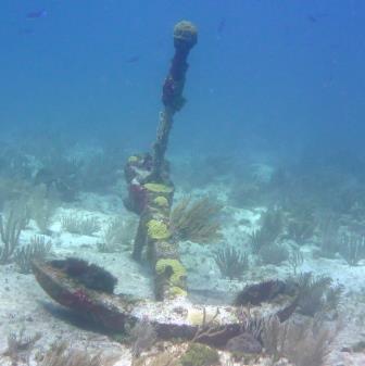 Reef dive 3