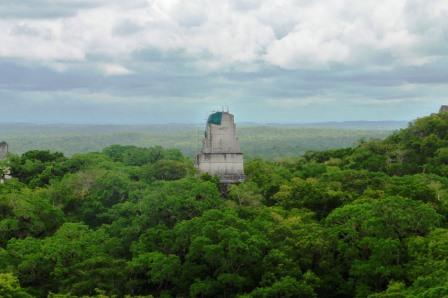 Tikal 27