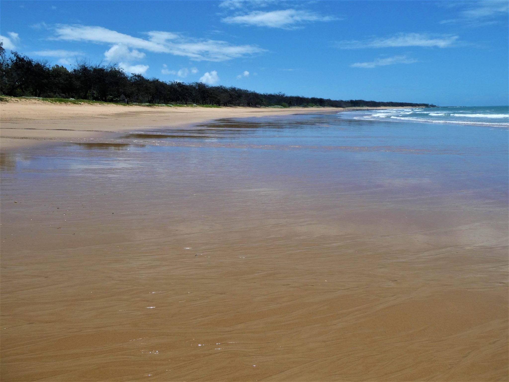 Exploring Queensland: Bargara, Childers, Mon Repos and turtles ...